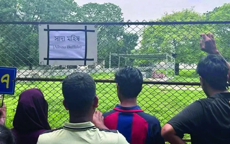 সংগ্রহীত ছবি