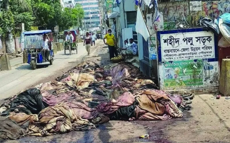 সংগ্রহীত ছবি