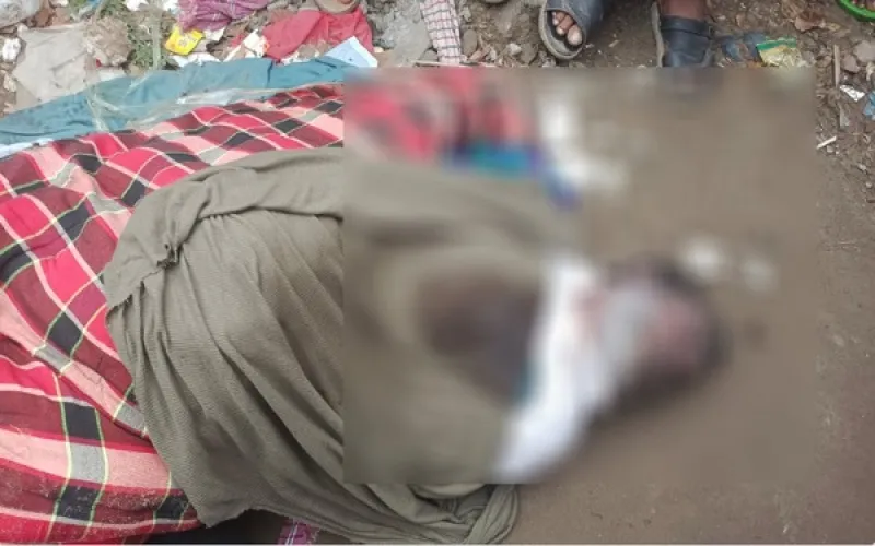সংগ্রহীত ছবি